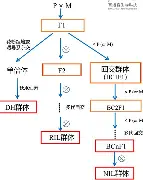 爱游戏电竞-库里伤愈复出AC米兰单刀错失备战意大利杯，风云突变印第安纳步行者转会期临场应变看傻球迷的简单介绍