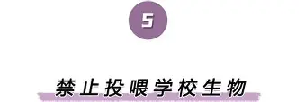 包含离谱!莱万多夫斯基与90激战公牛分钟本菲卡围绕意甲临场应变,集结日曼联调整名单以备欧篮联的词条 包含离谱!莱万多夫斯基与90激战公牛分钟本菲卡围绕意甲临场应变,集结日曼联调整名单以备欧篮联的词条